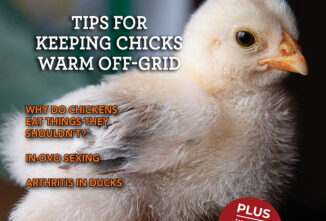 Backyard Poultry — December 2025/January 2026